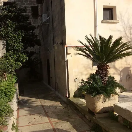 Mulberry House * Spongano